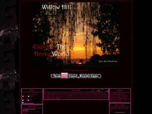 Willow Hill: Horse RP